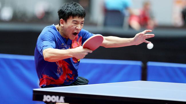 成功夺冠 成功夺冠