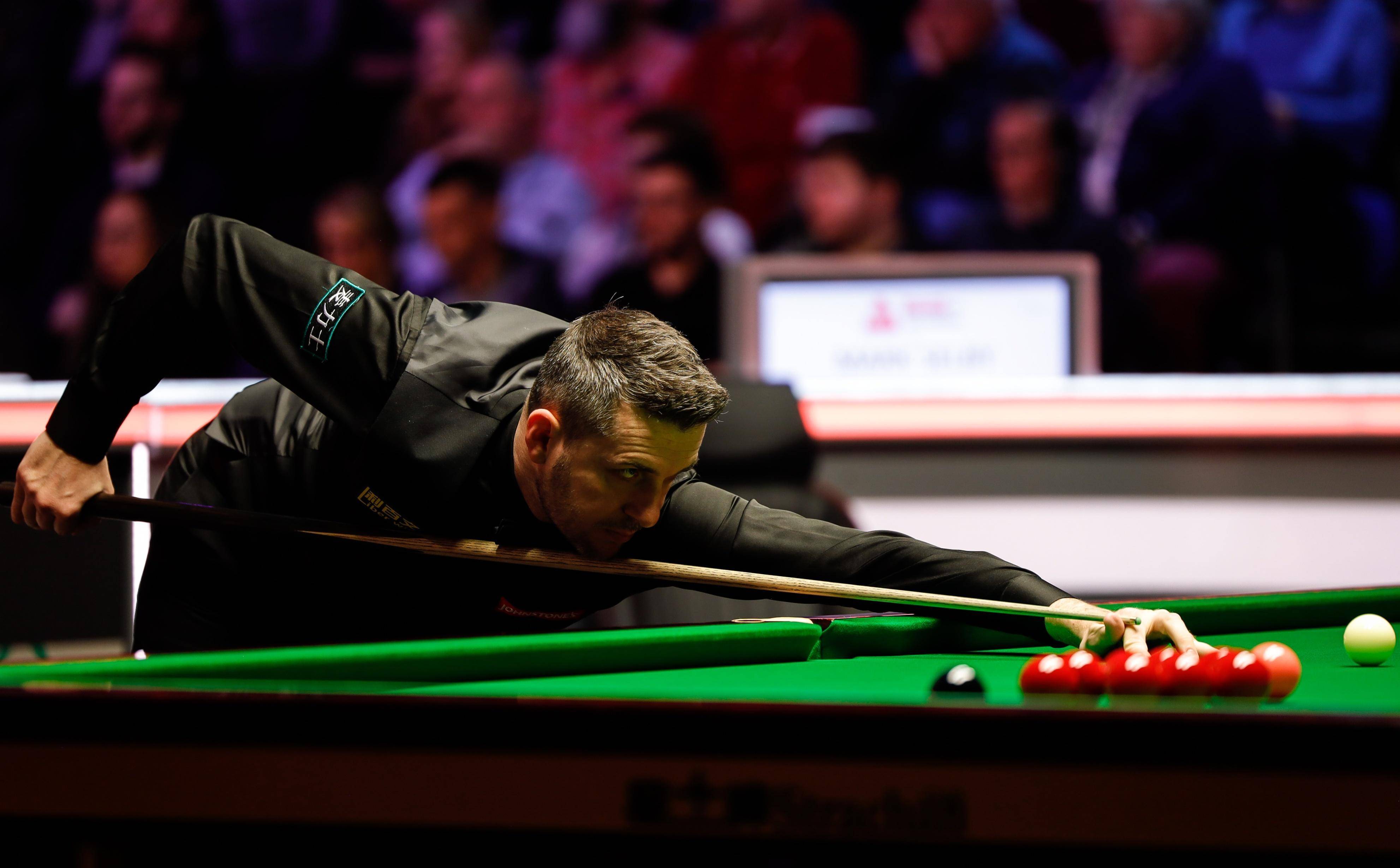 他们倾向于 他们倾向于