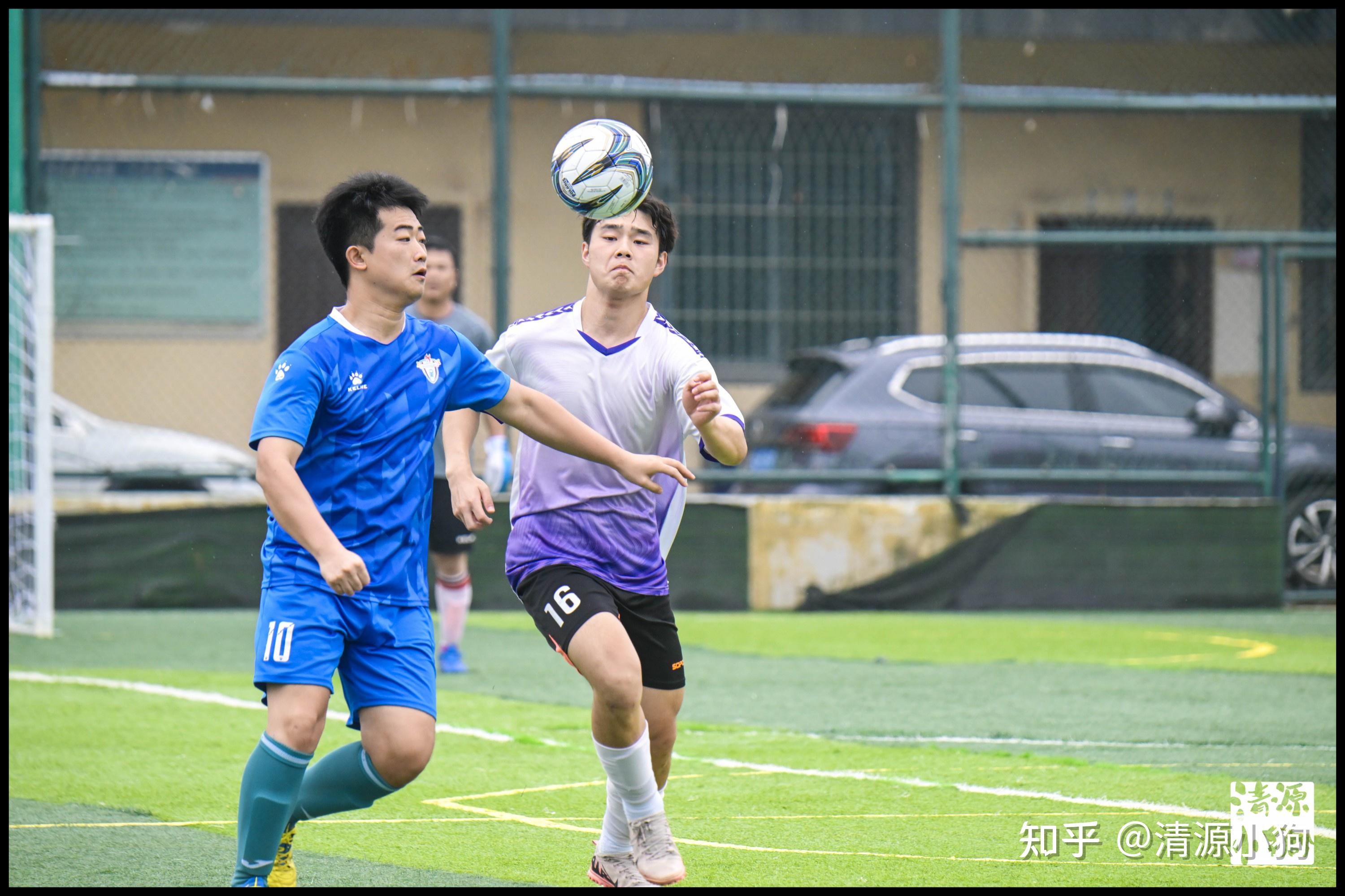 多领域的书 多领域的书