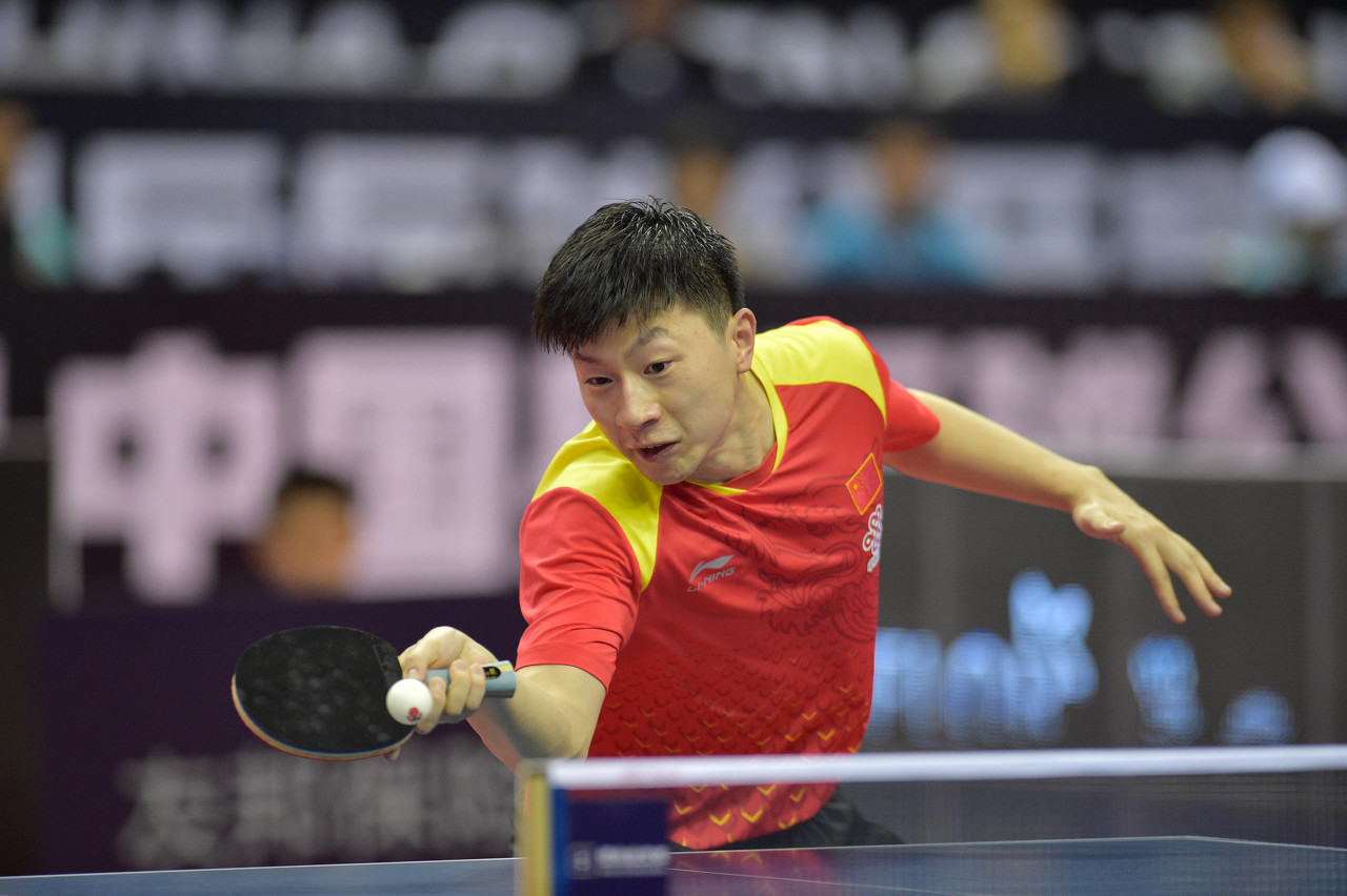 它几乎和 它几乎和